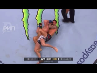 Порье чендлер [рифмы и панчи]