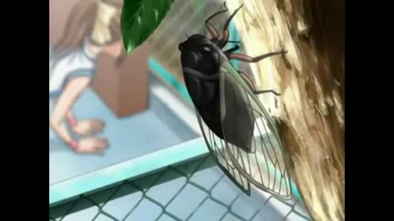 Hentai,xentai,хентай,юри,яой