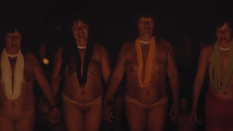 Клара шово / clara choveaux luz nos trópicos ( 2020 )