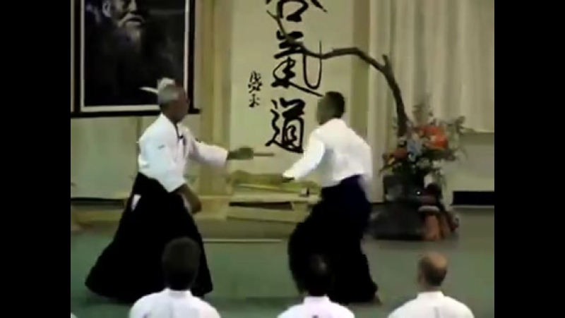 Mitsugi saotome shihan