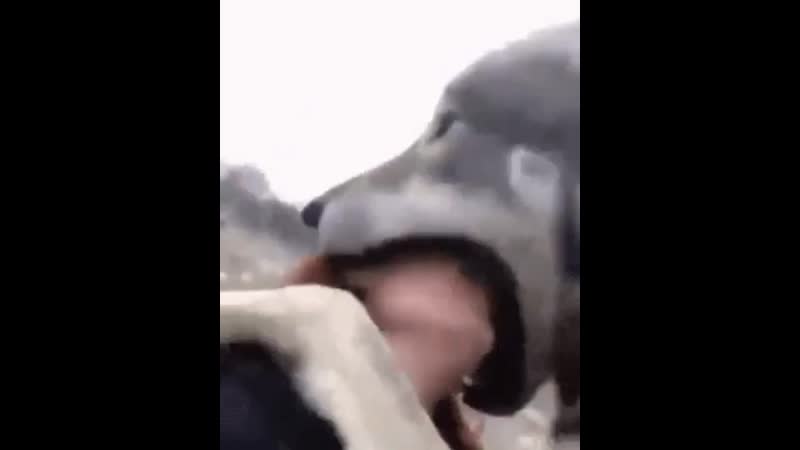 Тёплое шипение