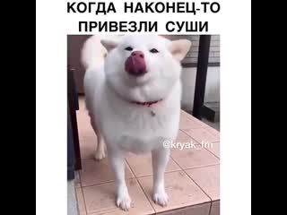 Молодые улыбака