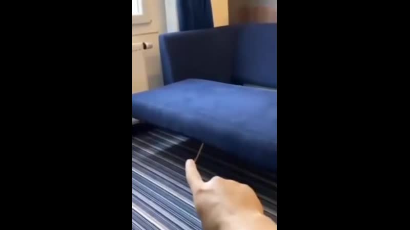 Шутить изволите