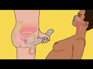Порно видео: как правильно заниматься сексом картинки