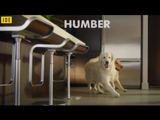 Atom&humber