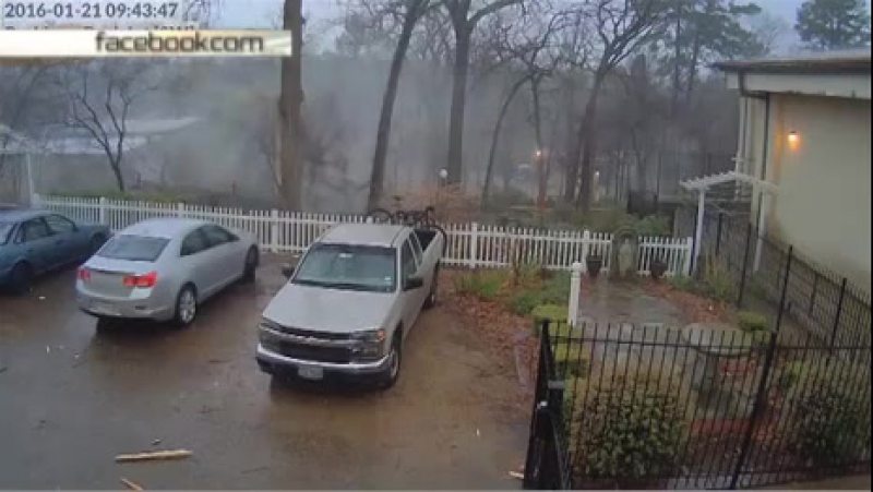 ✔ особое мнение молния разносит дерево в щепки (21 01 2016)