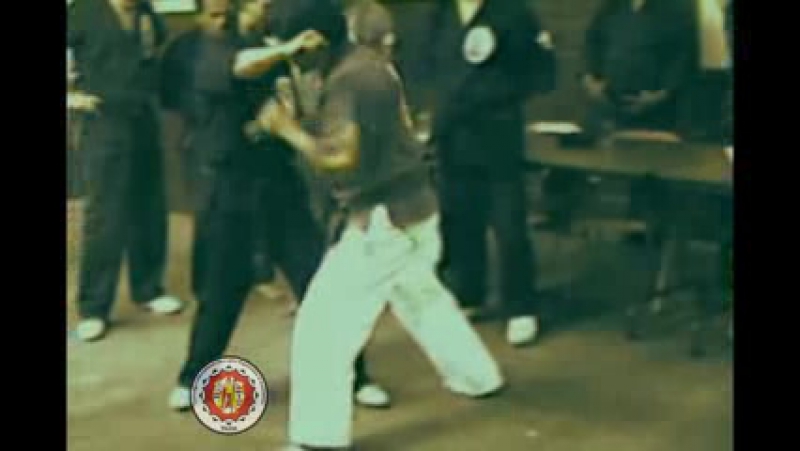 Фрагмент семинара тадаши ямашито в школе лима лама