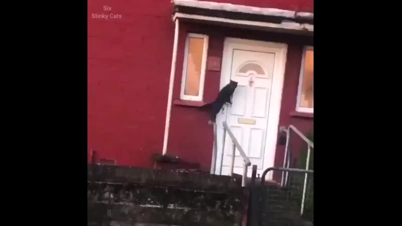 Пустите меня домой!!!