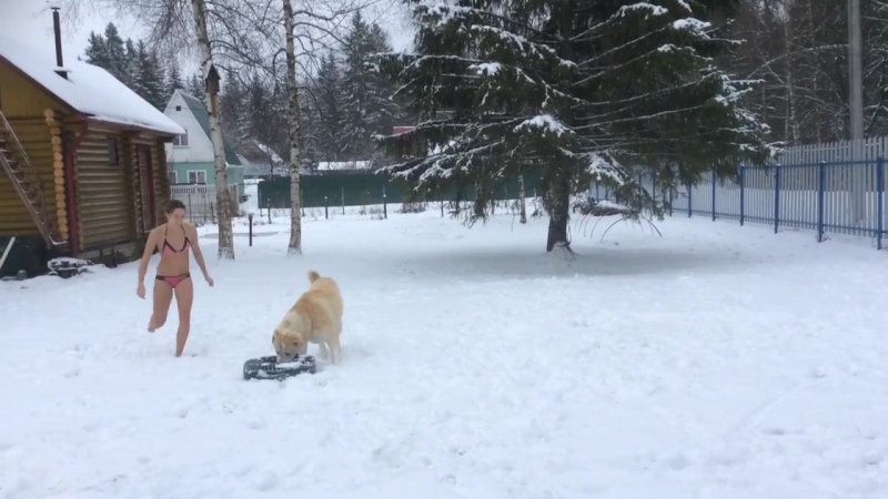 Осман делибаш и яран