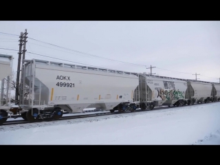 Cemr and bnsf manitoba trains in winnipeg, manitoba (02042016)