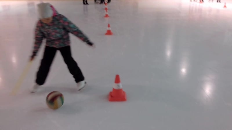 Лингвистическая эстафета полиглот в ледовом дворце факел