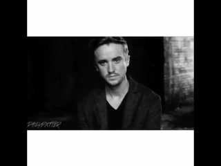 Tom felton / daniel radcliffe