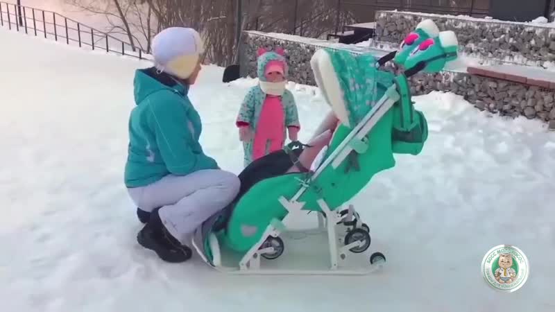 Озор санок nika 7 8s и disney baby 2