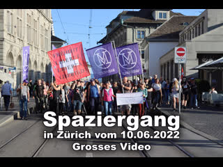 Spaziergang in zürich vom grosses video