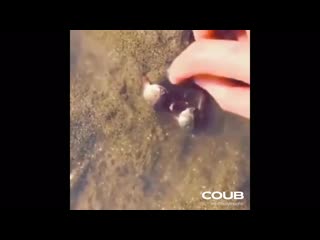 Don't take her ~ i'm closing my eyes (feat shiloh)