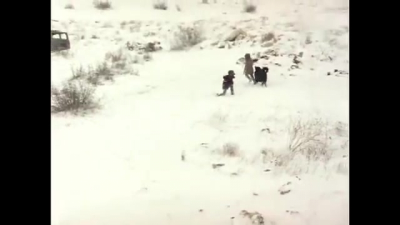 Х/ф "тихие троечники" ты, да я, да мы с тобой