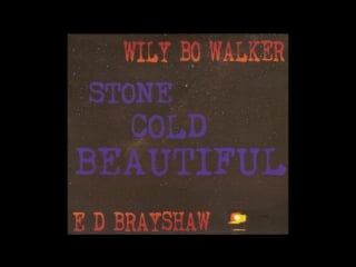 Wily bo walker e d brayshaw2015 storm warning