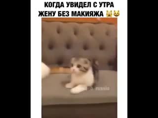 Sarafan video 20200325 235607 0 mp4