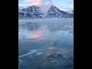 Бульк (vhs video)