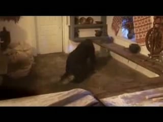 Хуторские страсти (2008)