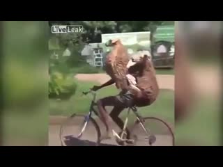 Кониб с шлюхами едет в гости к бате хабибу