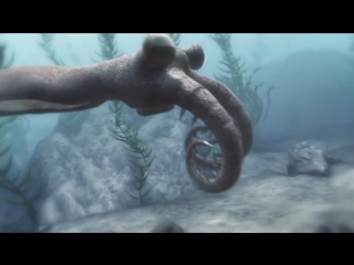 Anomalocaris sea monster