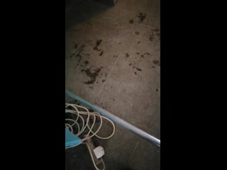 Vid 20190226 101512 mp4