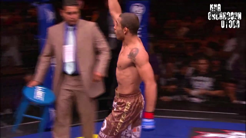 Jose aldo vs cub swanson / жозе альдо каб свонсон