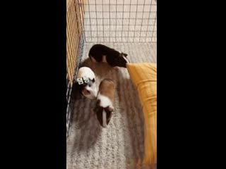 [jj 1986 jj ig story] 땜빵이