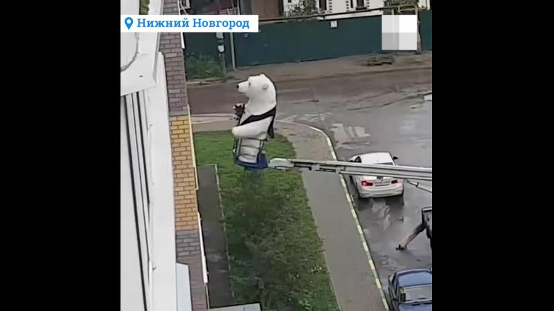 Романтичный нижегородец поднял гигантского медведя на кране, чтобы впечатлить девушку