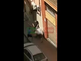 When this migrant negro attacks a young girl, 3 spaniards decide to teach it some proper manners