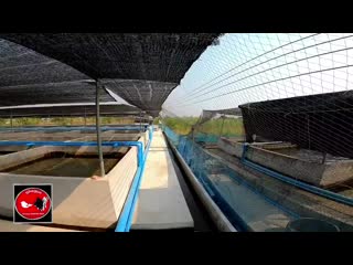 ลอง gopo hero 8 black 20200219 1 mp4