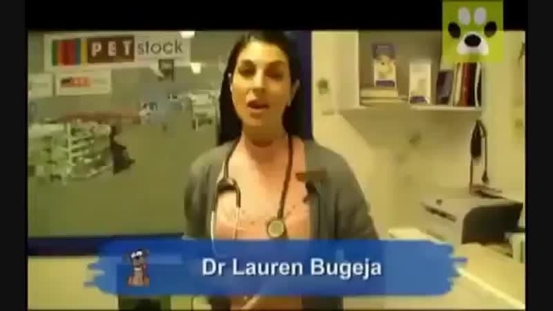 Стоит ли кастрировать пмтомца ?