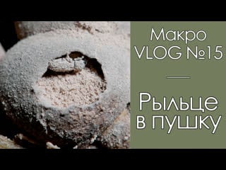 Рыльце в пушку / макроvlog №15 / фауна беларуси / микропланета