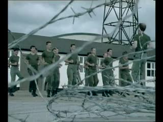Status quo in the army now 1981 82