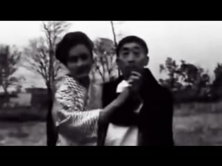 Cosey fanni tutti wired