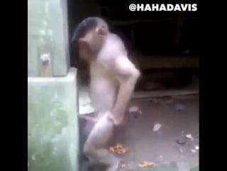 Похотливая макака