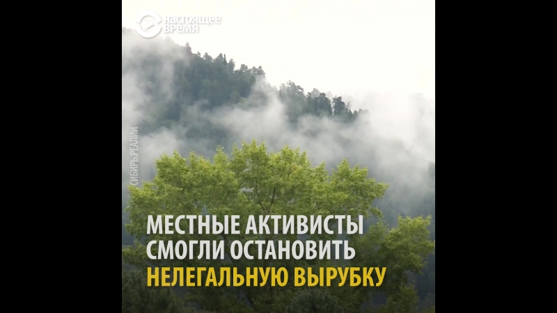 "черные лесорубы"