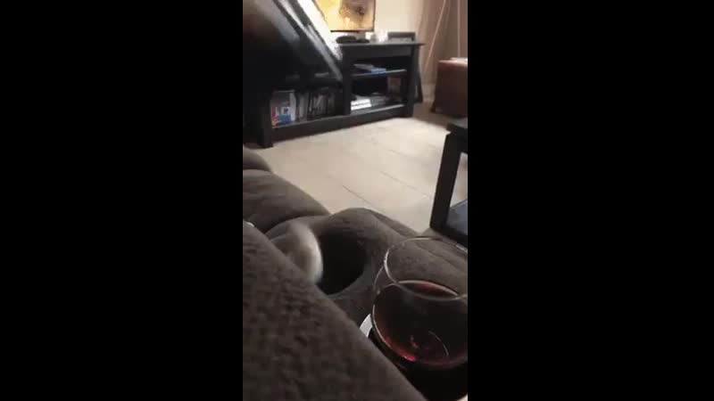 Котиком porn video – Решила поиграть с котиком