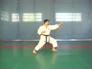 Shotokan karate kata luca valdesi tekki shodan nidan sandan unsu jitte kanku sho