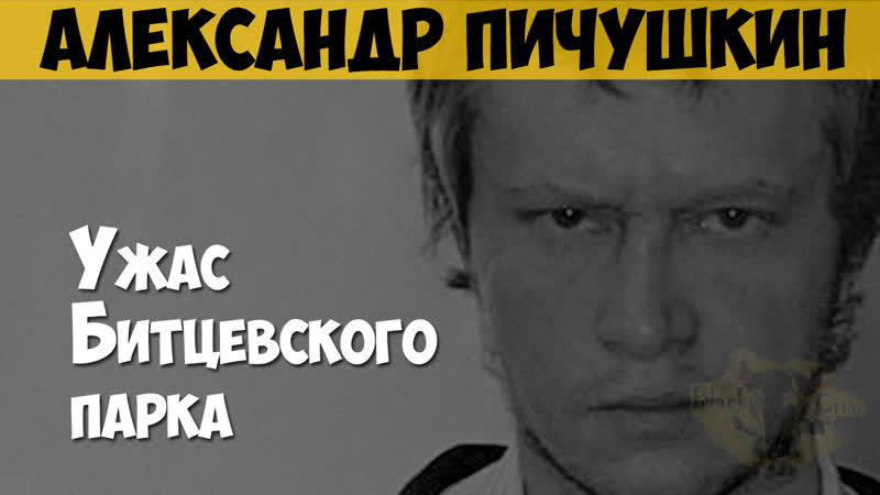 Александр пичушкин серийный убийца, маньяк ужас битцевского парка