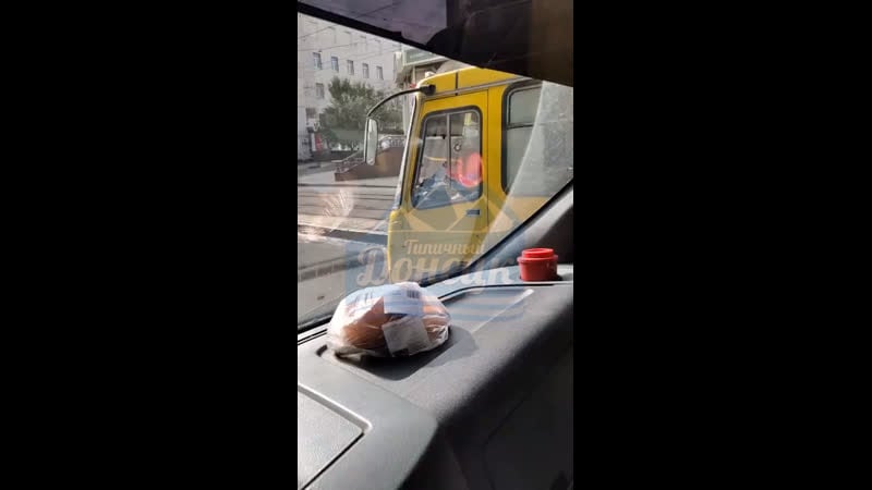 Бесстрашный донецкий голубь