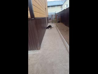 Video 20201008 170718 mp4