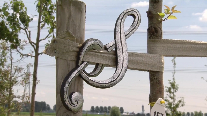 В нидерландах открыли мемориал рейса mh17