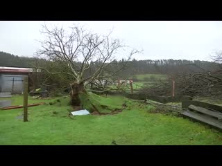 Tornado verwüstet eifel gemeinde roetgen