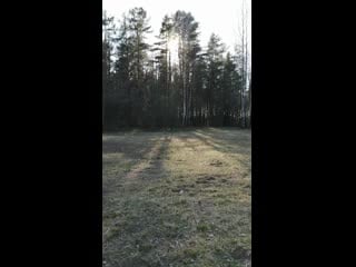 Vid 20200506 180339 mp4