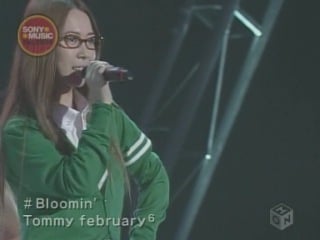 Tommy february6 magic in your eyes, sepia memory, bloomin'!, je t'aime ★ je t'aime (live)