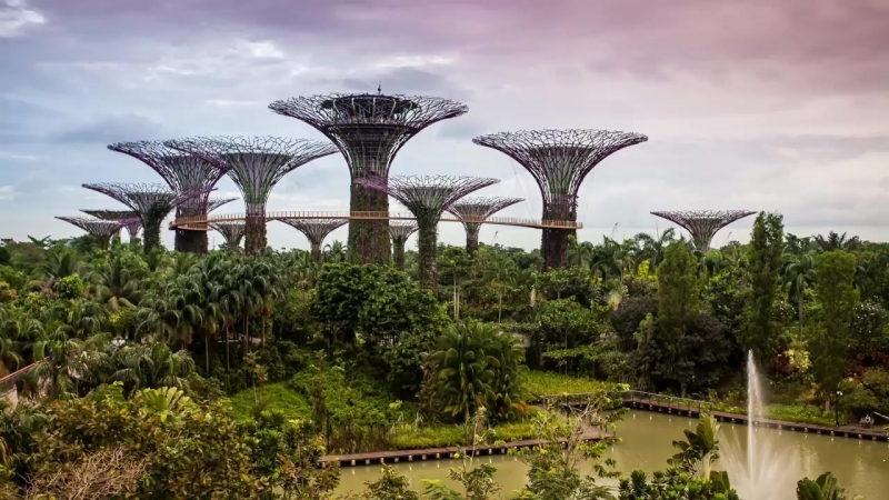 Die avatar kriege der kampf um die mutterbäume teil 7