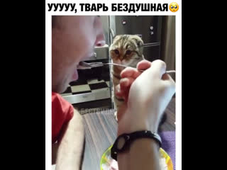 Ну ты и тварь бездушная