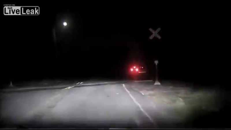 Дерзкий олень © видеожесть